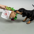 Load image into Gallery viewer, Schnüffelspielzeug Berliner Döner
