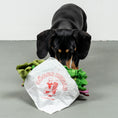 Load image into Gallery viewer, Schnüffelspielzeug Berliner Döner
