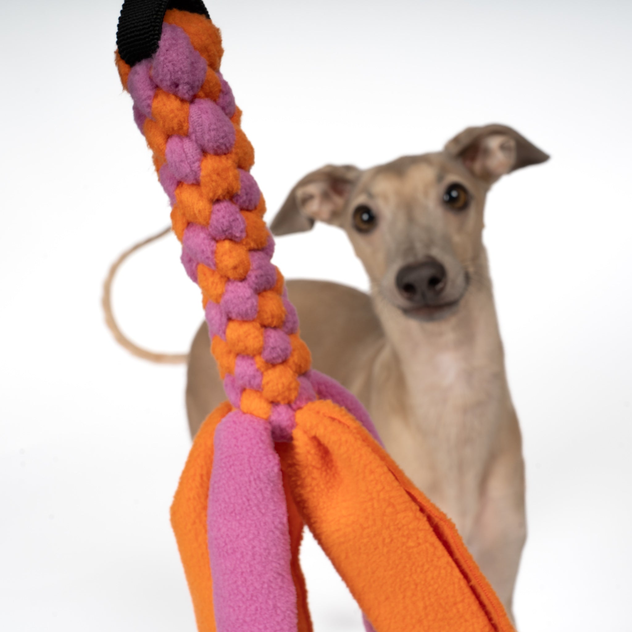 Bungee-Tau Bubblegum / Orange