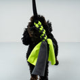 Load image into Gallery viewer, Bungee-Tau Neon Yellow / Graphite
