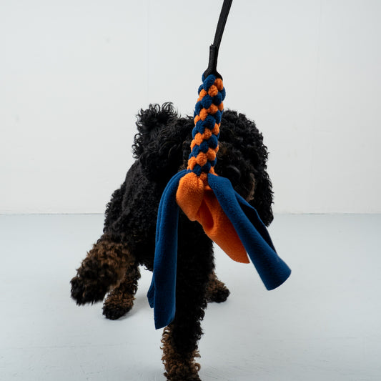 Bungee-Tau Navy / Orange