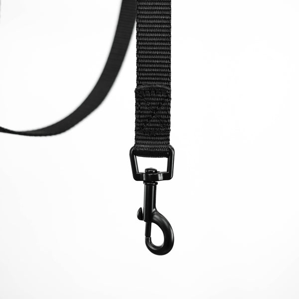 BioThane® Dog Leash Black