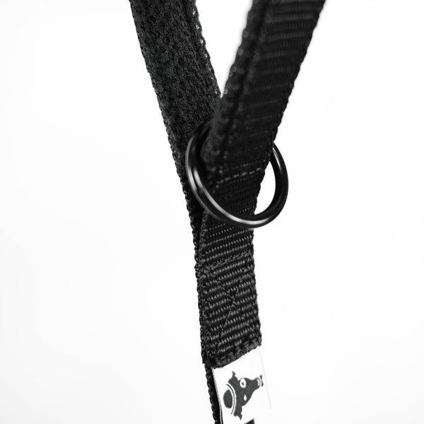 BioThane® Dog Leash Black