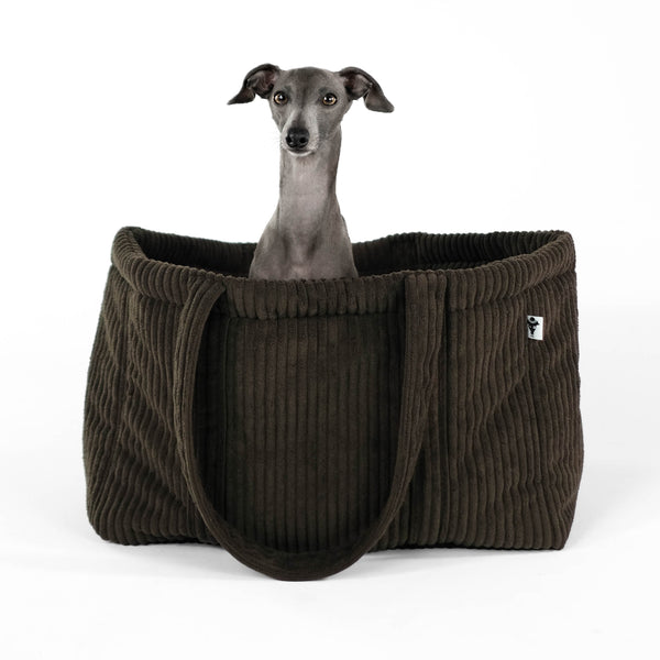 Hundetasche kleine Hunde Windspiel Dackel