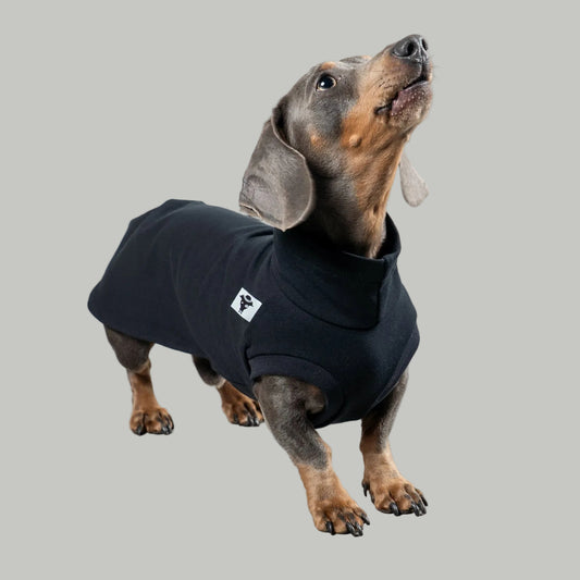 COTTON SHIRT Dachshund Black