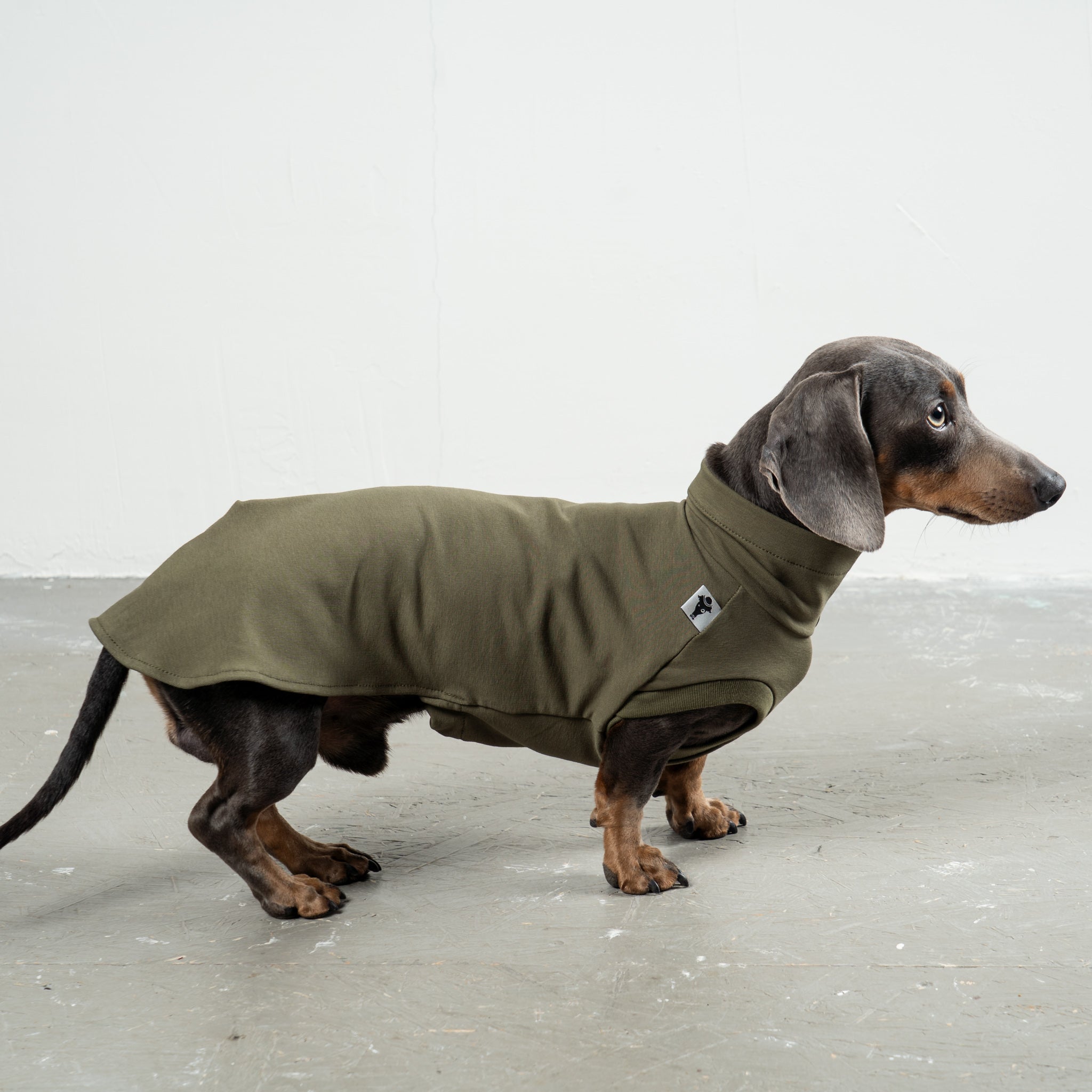 COTTON SHIRT Dachshund Dark Olive