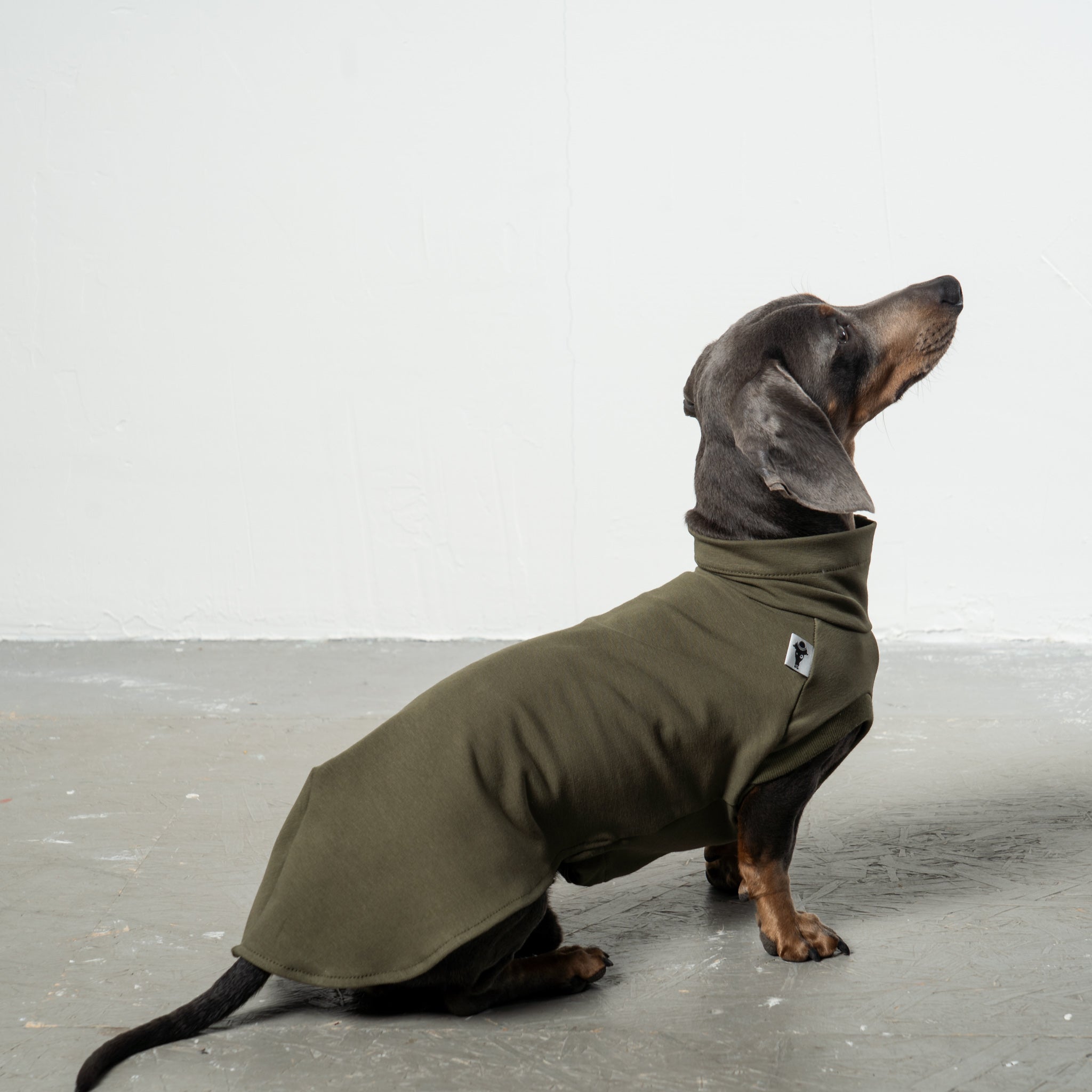 COTTON SHIRT Dachshund Dark Olive