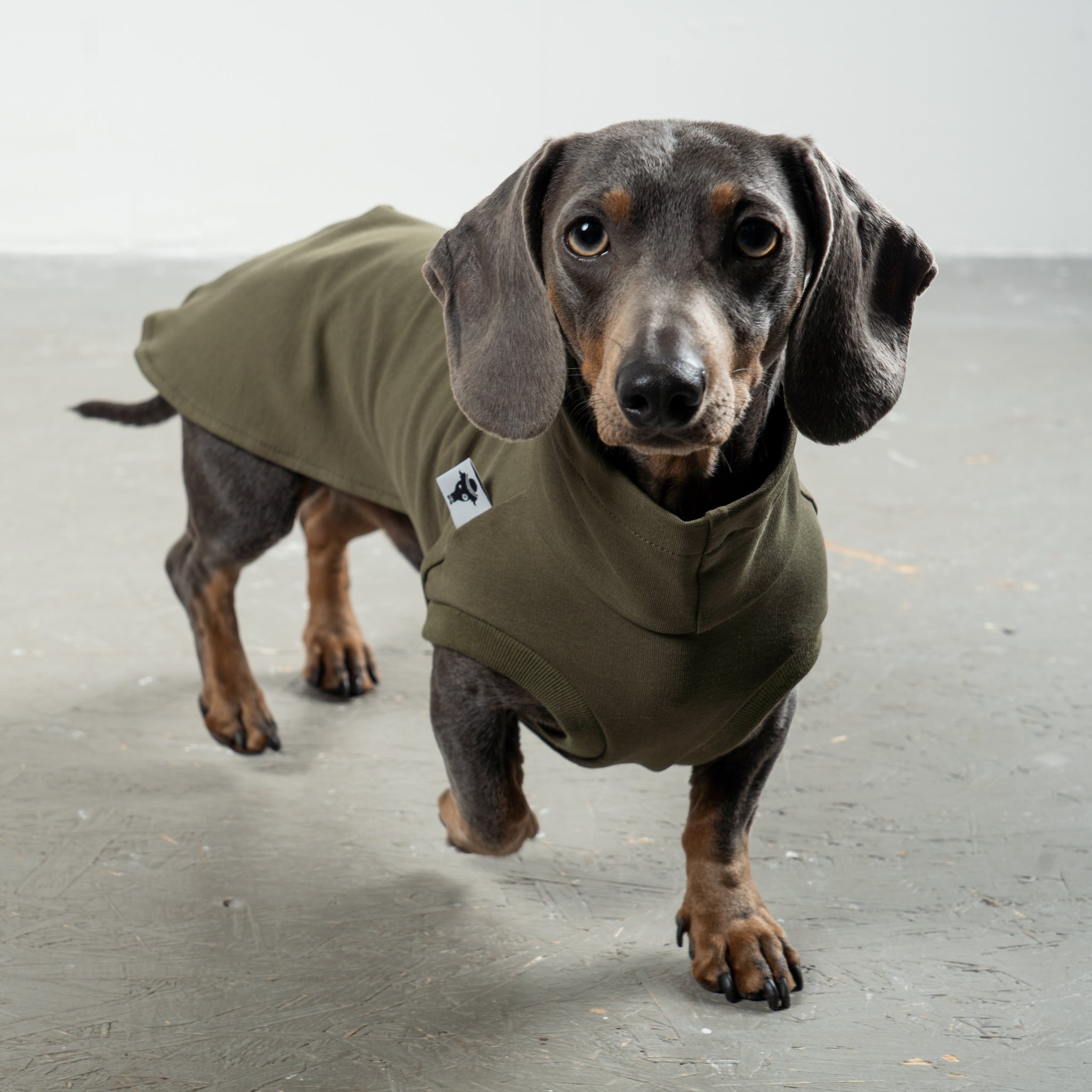 COTTON SHIRT Dachshund Dark Olive