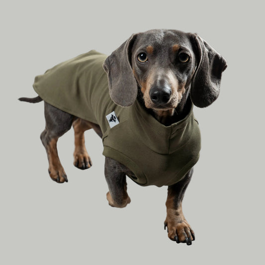 COTTON SHIRT Dachshund Dark Olive