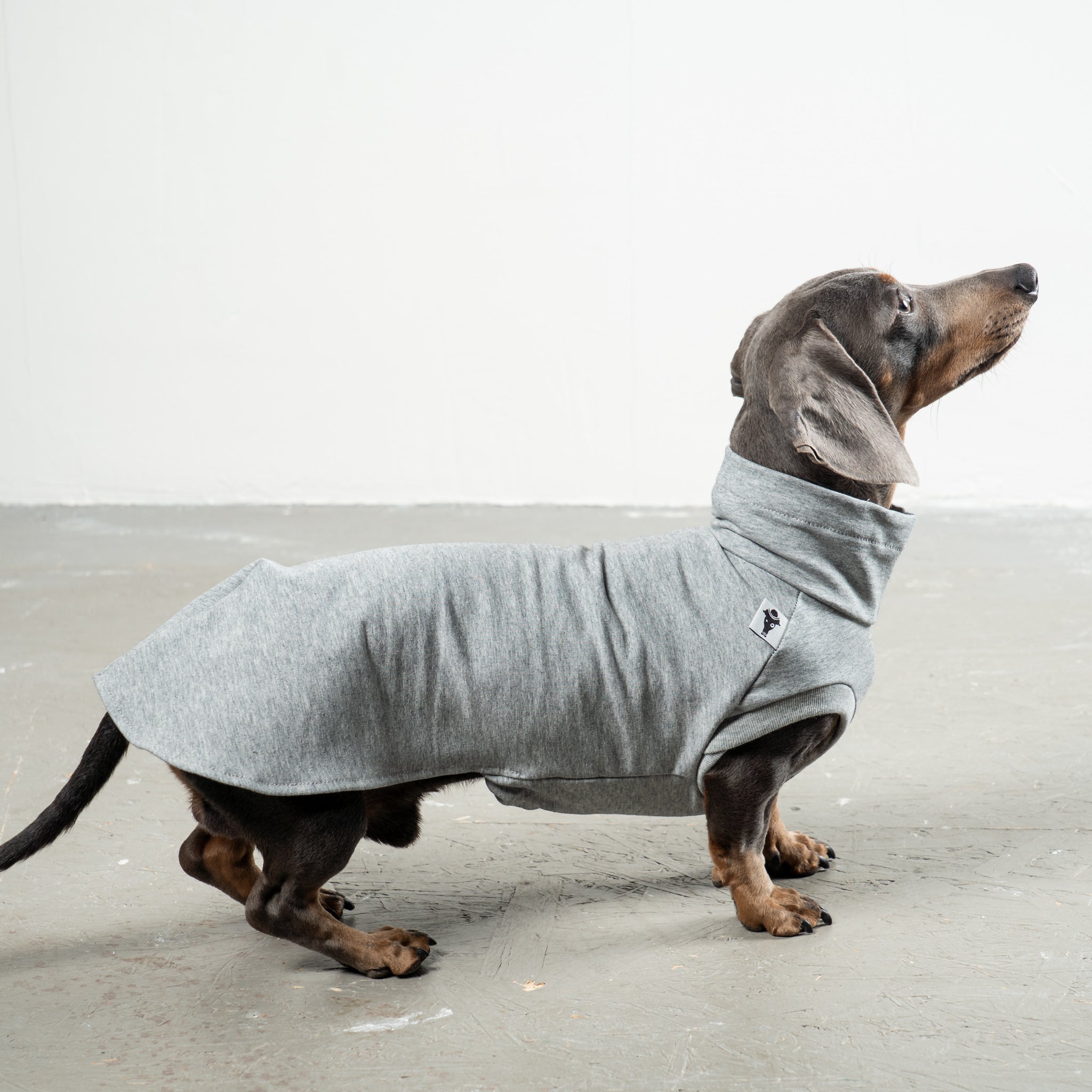 COTTON SHIRT Dachshund Grey Melange