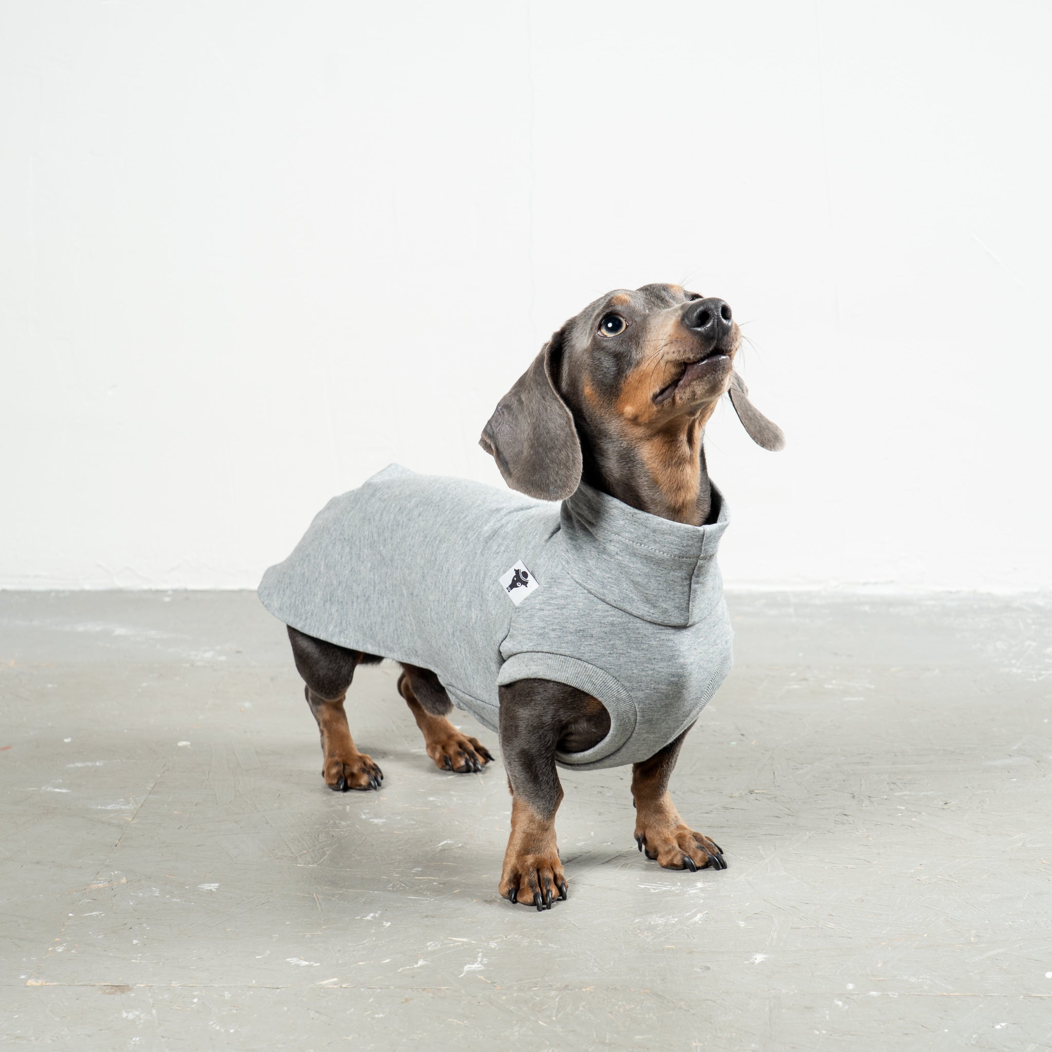 COTTON SHIRT Dachshund Grey Melange