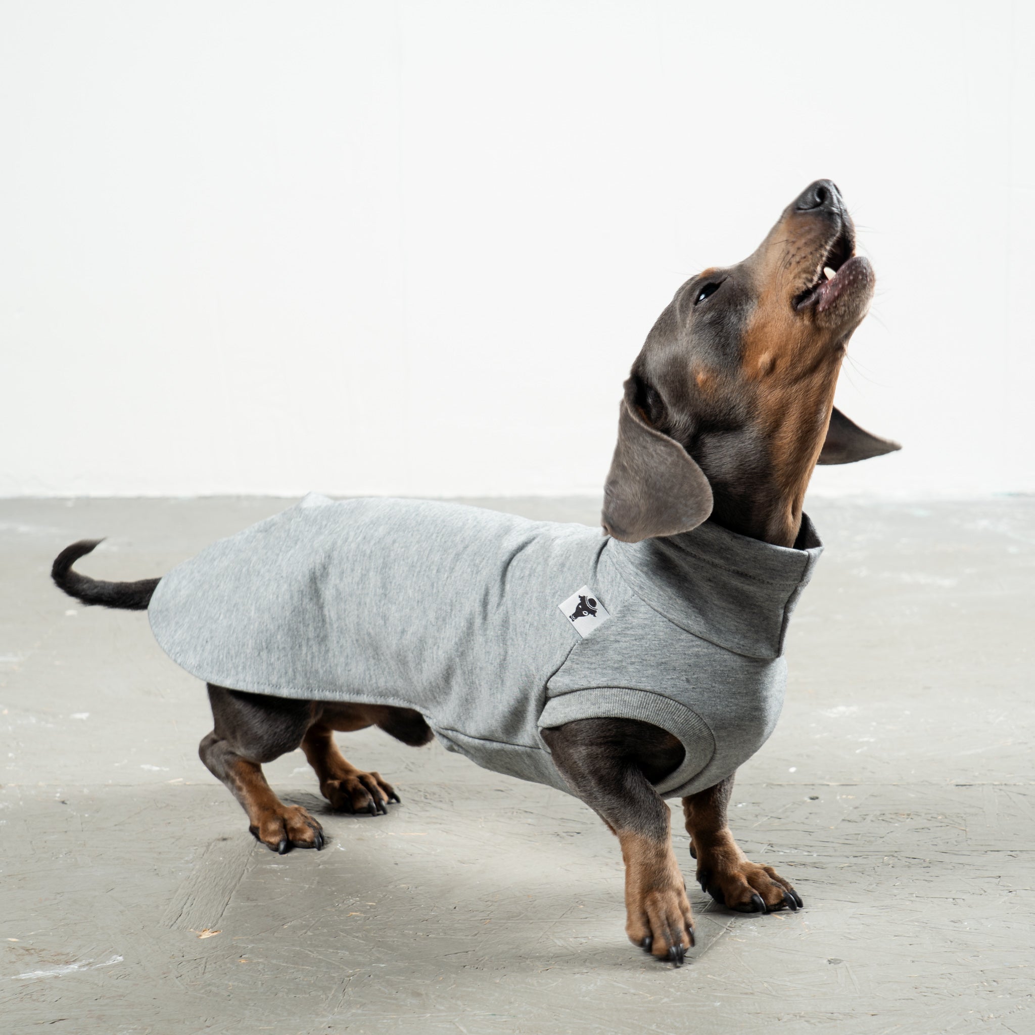 COTTON SHIRT Dachshund Grey Melange