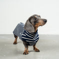 Load image into Gallery viewer, COTTON SHIRT 2.0 for Dachshunds in Navy 
