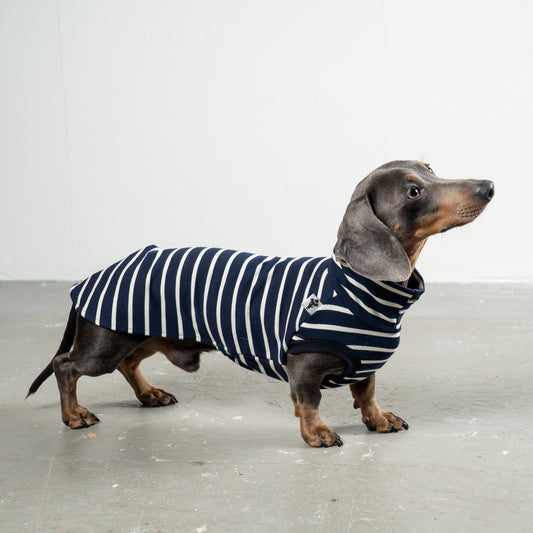 COTTON SHIRT 2.0 for Dachshunds in Navy 