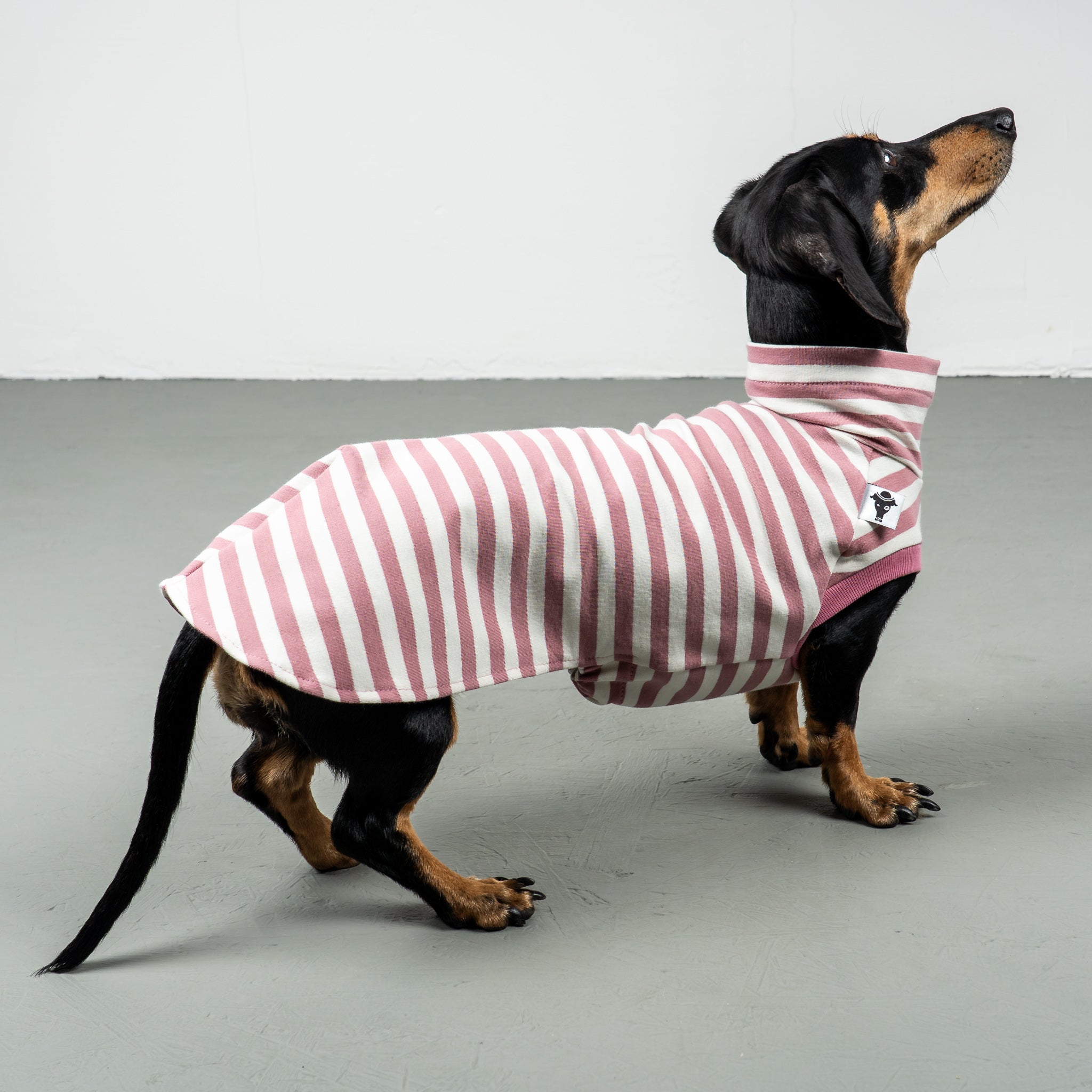 COTTON SHIRT Dackel Pink Stripes