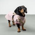Load image into Gallery viewer, COTTON SHIRT Dackel Pink Stripes
