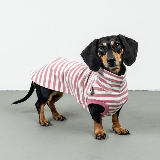 COTTON SHIRT Dackel Pink Stripes