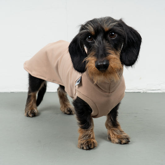 COTTON SHIRT Dachshund Sand