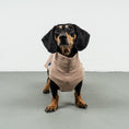 Load image into Gallery viewer, COTTON SHIRT Dachshund Sand
