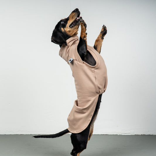 COTTON SHIRT Dachshund Sand