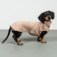 Load image into Gallery viewer, COTTON SHIRT Dachshund Sand
