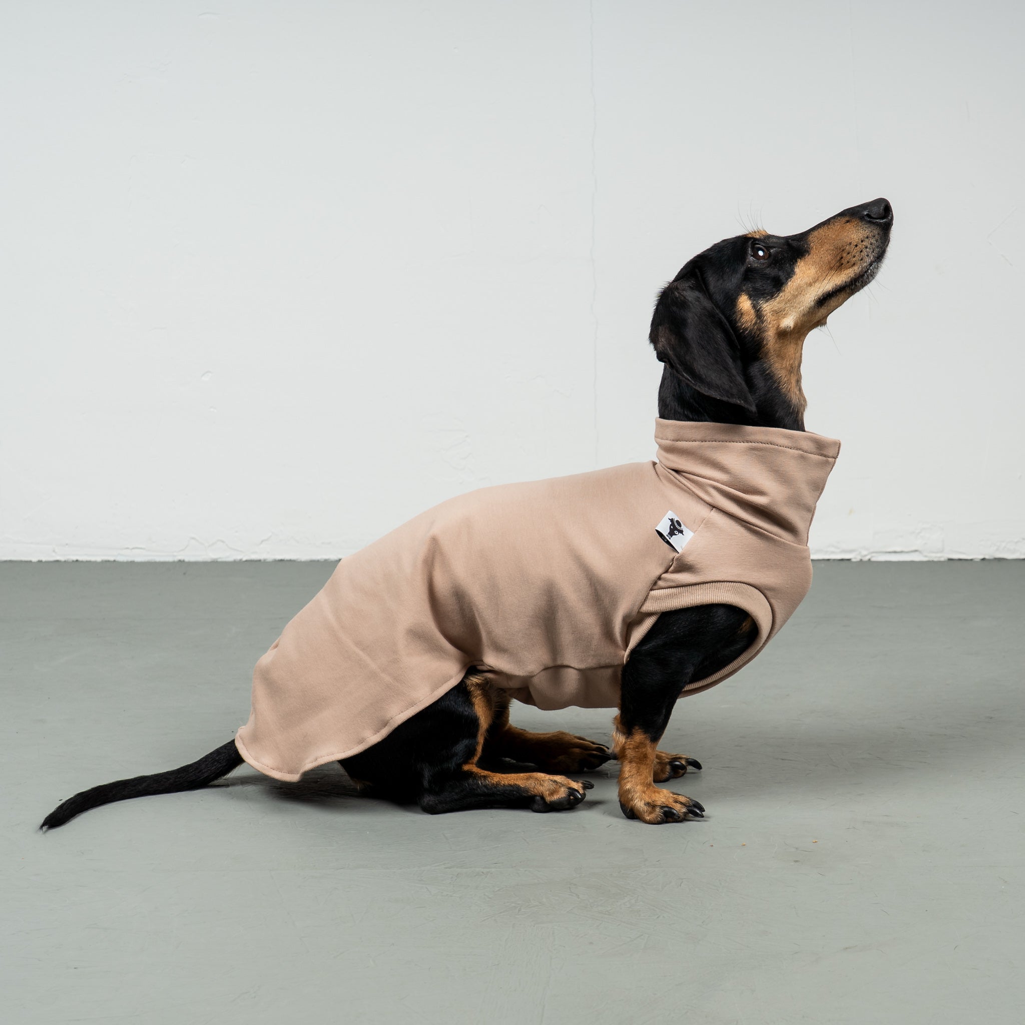 COTTON SHIRT Dachshund Sand