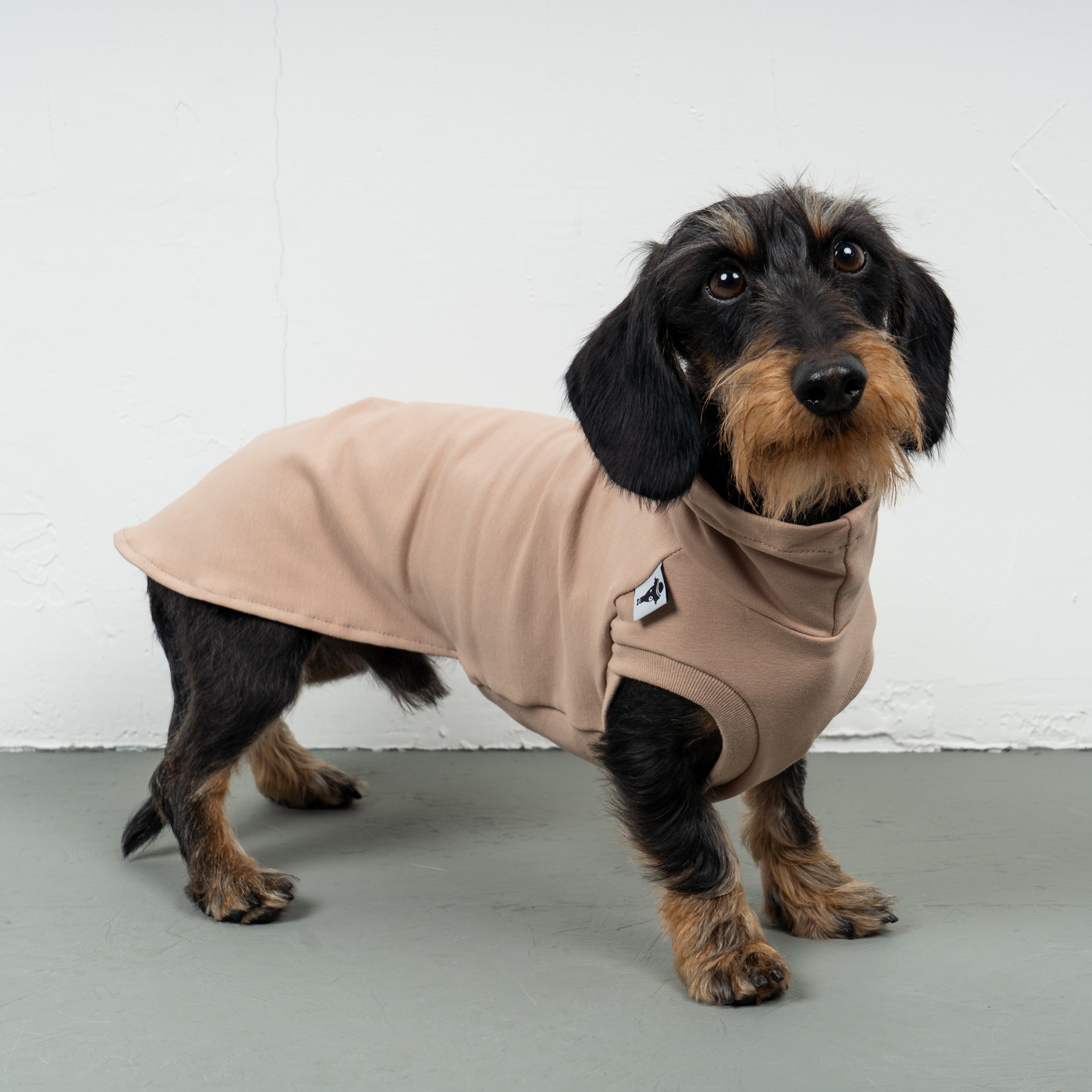 COTTON SHIRT Dachshund Sand