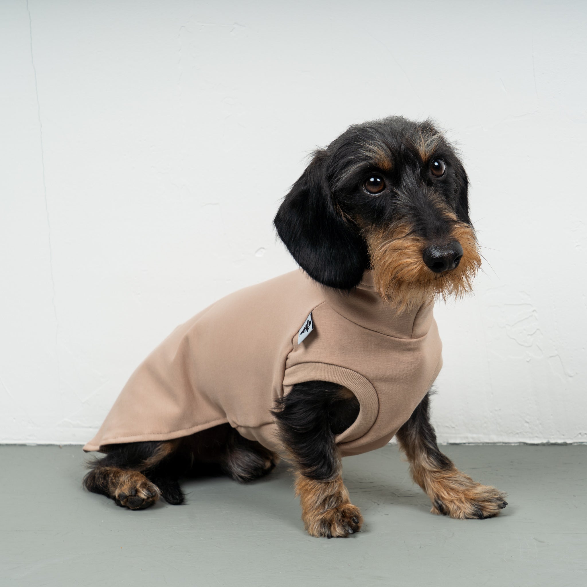 COTTON SHIRT Dachshund Sand