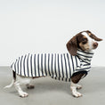 Load image into Gallery viewer, COTTON SHIRT Dackel White
