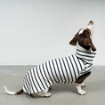 Load image into Gallery viewer, COTTON SHIRT Dackel White
