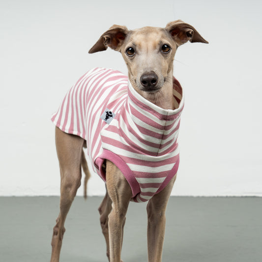 COTTON SHIRT Iggy Rosa gestreift