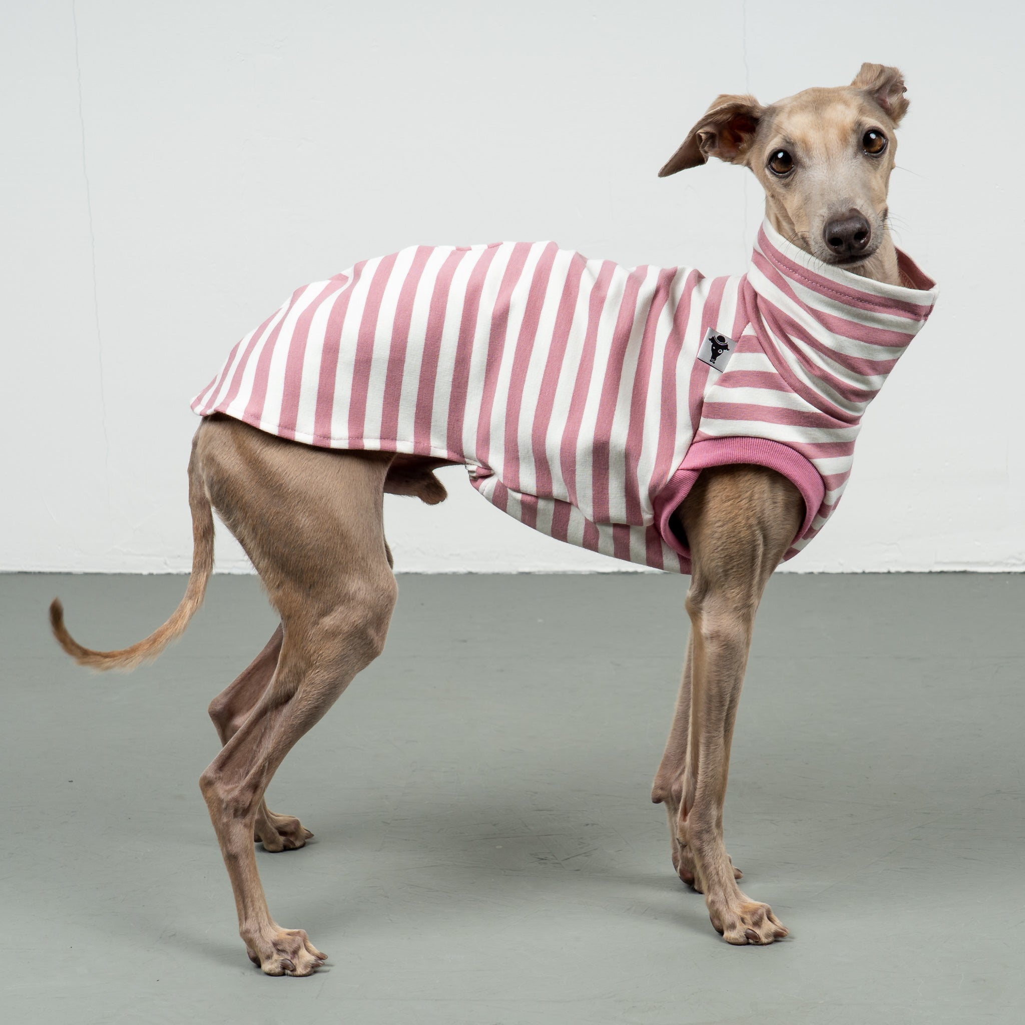 COTTON SHIRT Iggy Pink Stripes