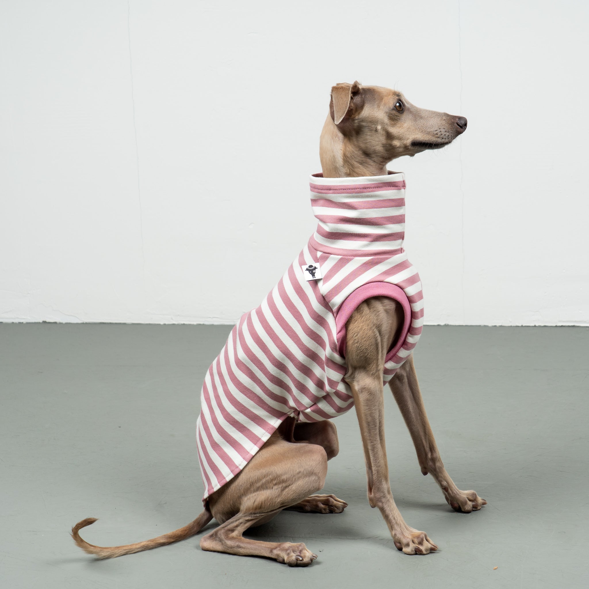 COTTON SHIRT Iggy Pink Stripes