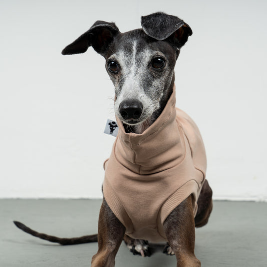 COTTON SHIRT Iggy Sand