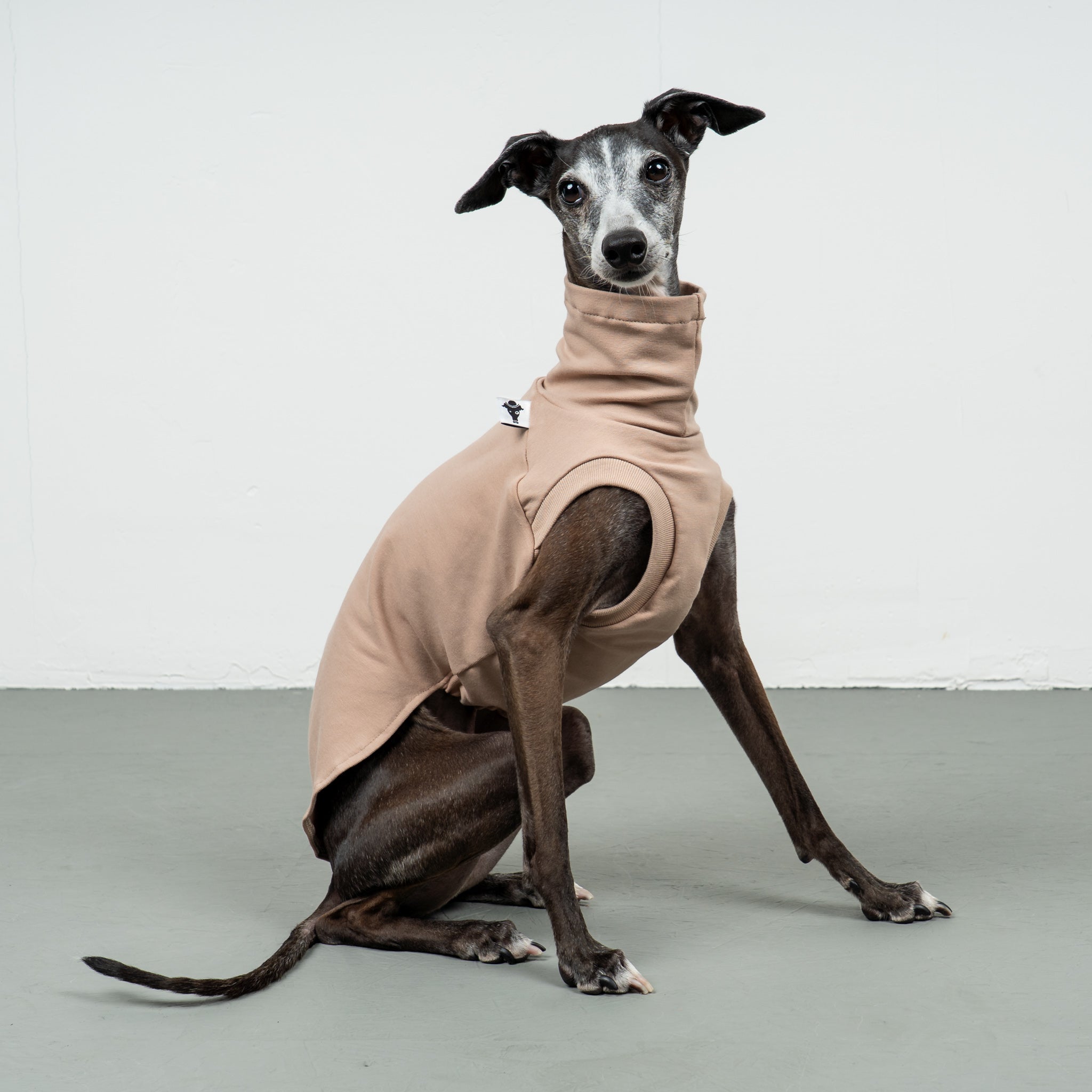 COTTON SHIRT Iggy Sand