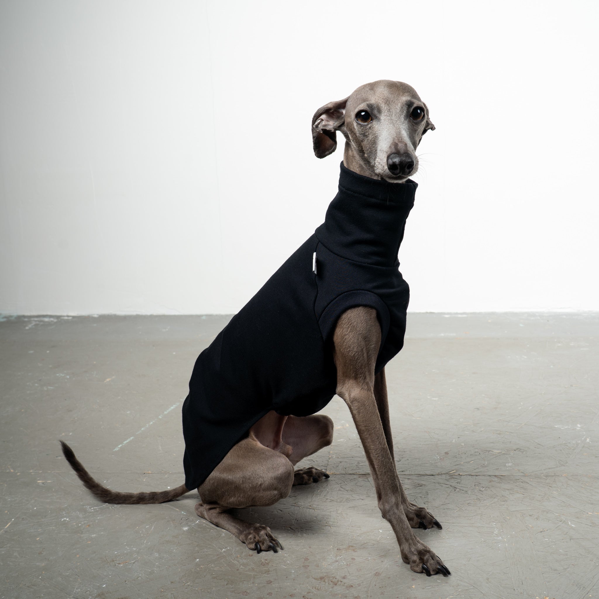 COTTON SHIRT Iggy Black