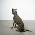 Load image into Gallery viewer, COTTON SHIRT Iggy Dark Olive
