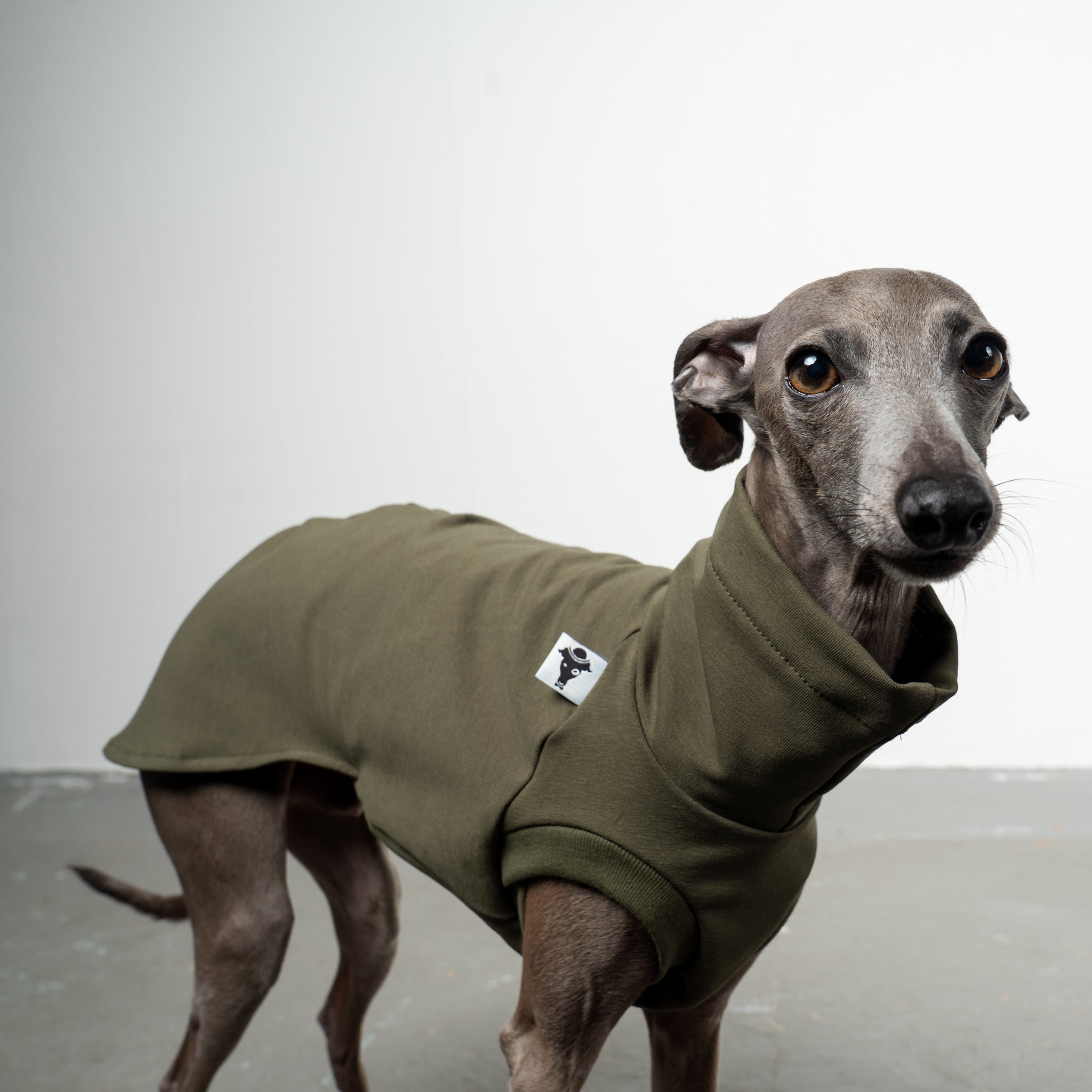 COTTON SHIRT Iggy Dark Olive