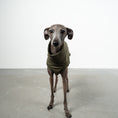 Load image into Gallery viewer, COTTON SHIRT Iggy Dark Olive
