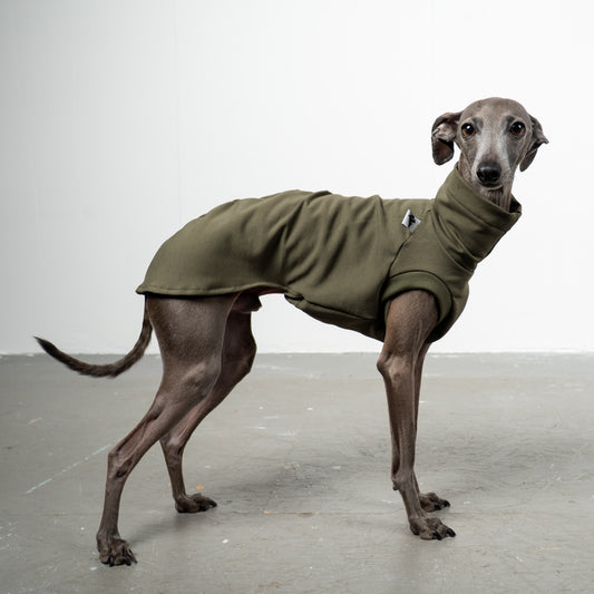 COTTON SHIRT Iggy Dark Olive