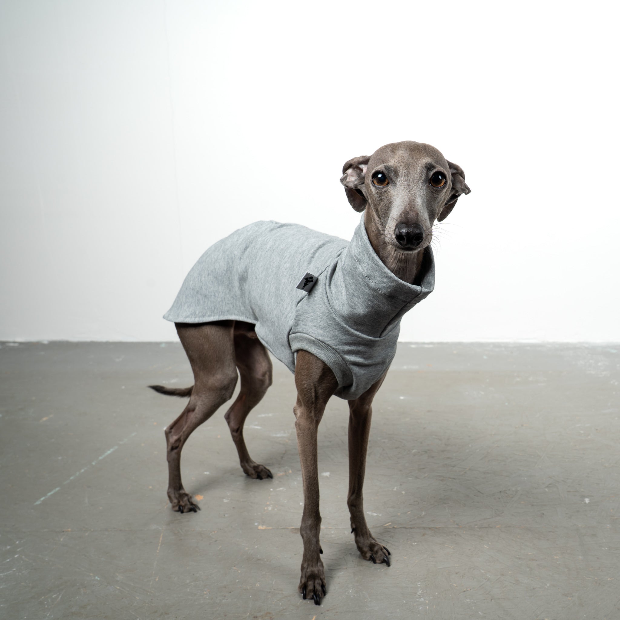 COTTON SHIRT Iggy Grey Melange 