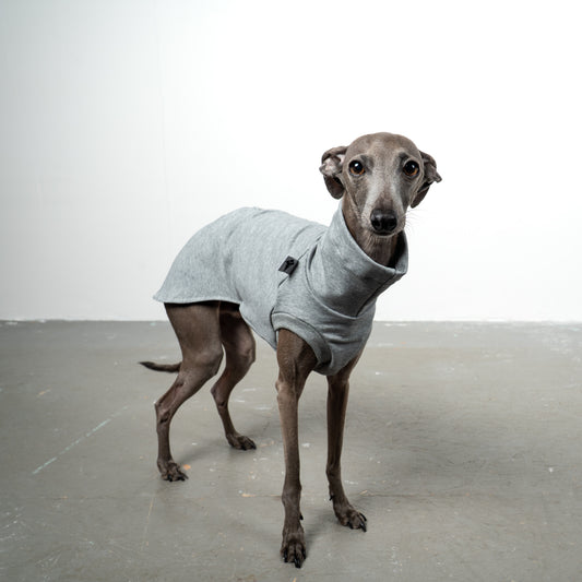 COTTON SHIRT Iggy Grey Melange 