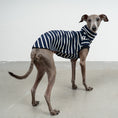Load image into Gallery viewer, COTTON SHIRT Iggy Navy
