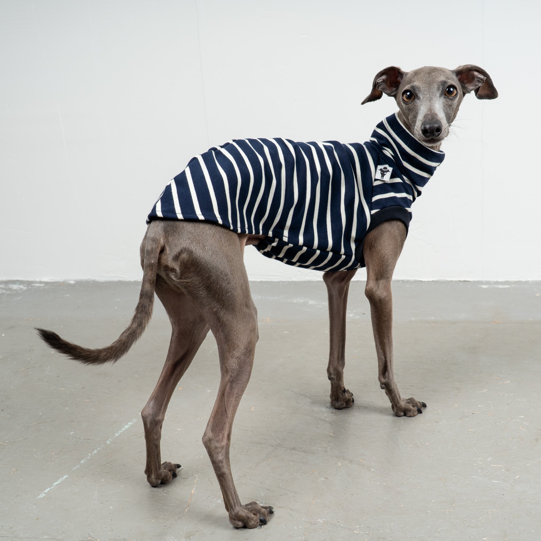 COTTON SHIRT Iggy Navy