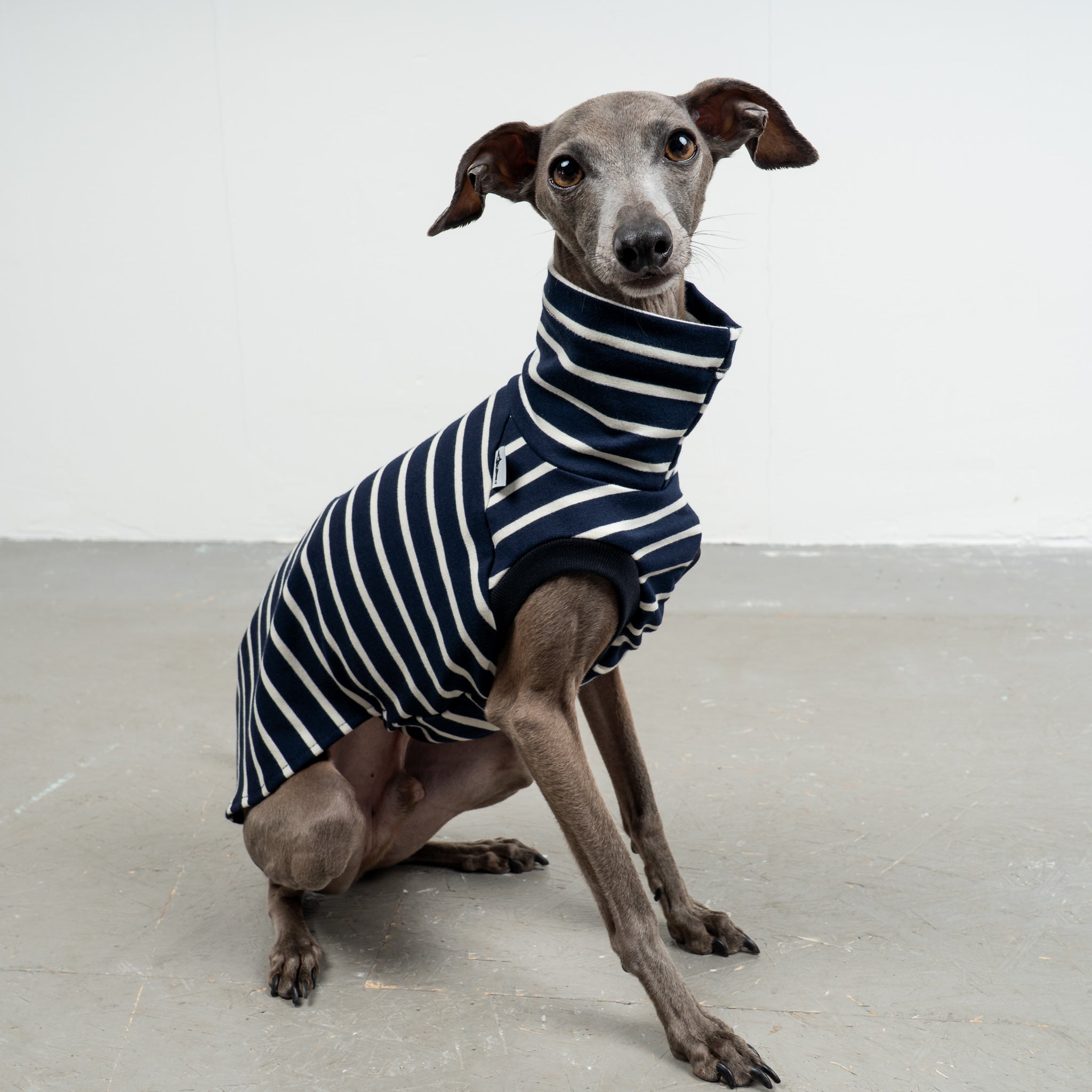 COTTON SHIRT Iggy Navy