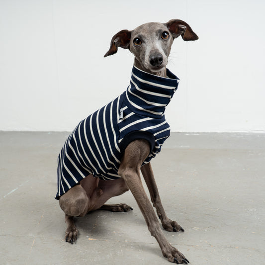 COTTON SHIRT Iggy Navy