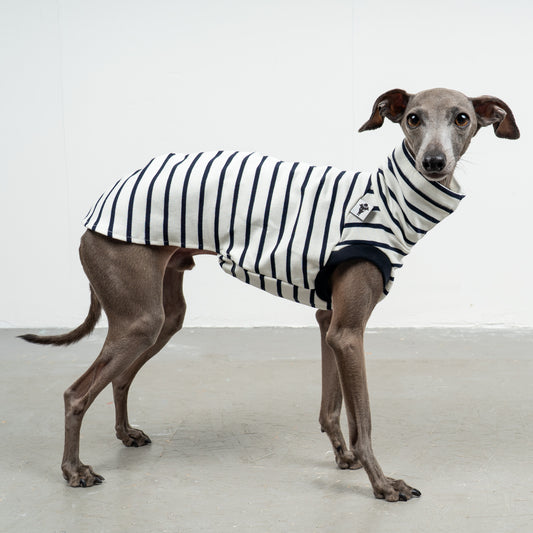 COTTON SHIRT Iggy White