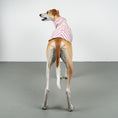 Load image into Gallery viewer, COTTON SHIRT Windhund Pink Stripes
