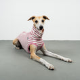 Load image into Gallery viewer, COTTON SHIRT Windhund Pink Stripes
