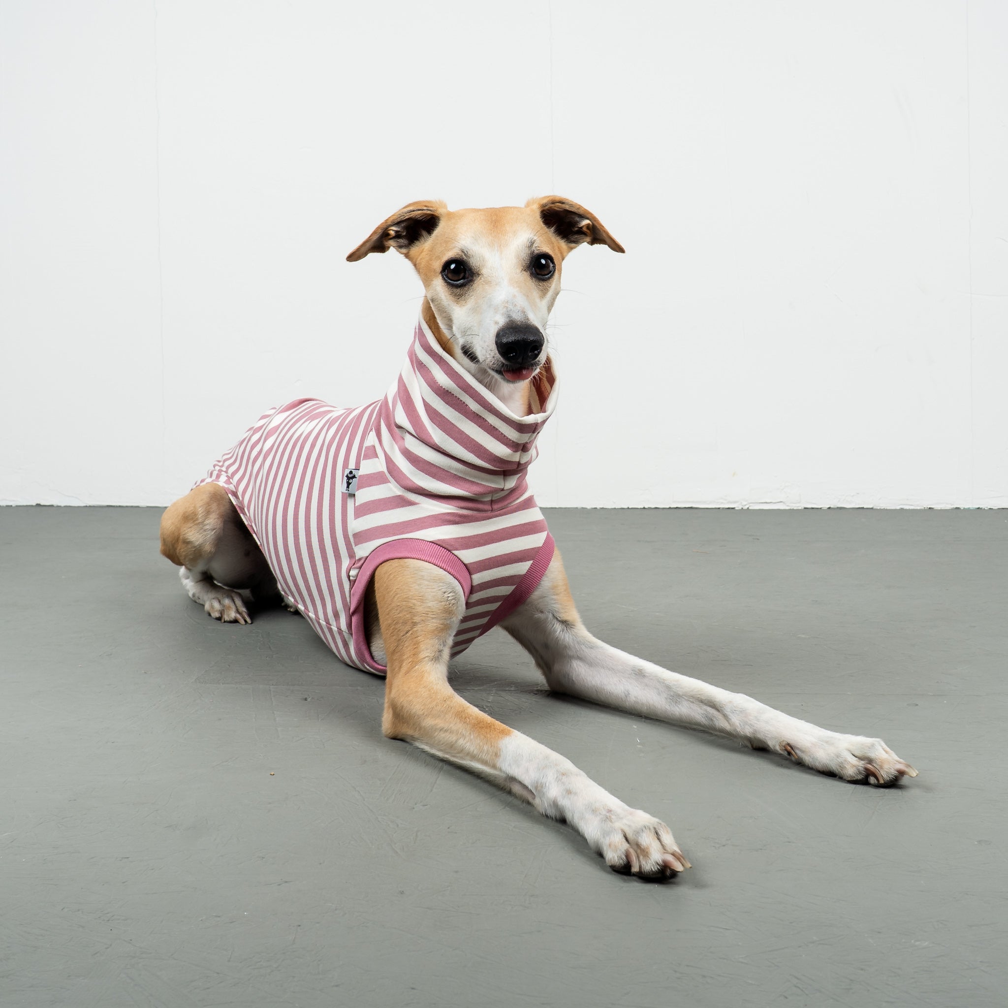 COTTON SHIRT Windhund Pink Stripes